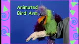 Animated Bird Arm Illusion by Axtell Expressions [upl. by Wilmar975]