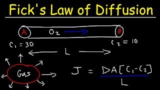 Ficks Law of Diffusion Concentration Gradient Physics Problems [upl. by Guido]