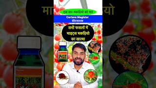 Corteva Magistar मकड़ी नाशक दवा  Miticide  Acaricide  Mites control insecticide shorts farming [upl. by Elleunamme]