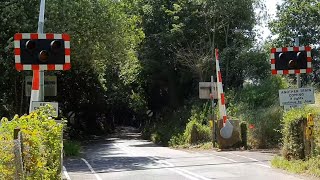 Loud Alarms Faulty Alarm at Gomshall Level Crossing Surrey [upl. by Lyle]