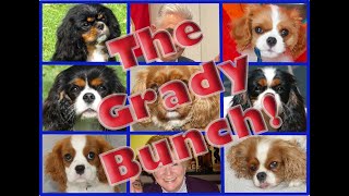 The Grady Bunch [upl. by Noryahs]