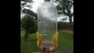 Best Homemade Wasp Trap [upl. by Skrap]