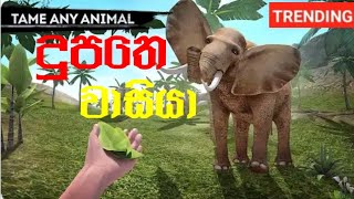 survivor full gameplay sinhala [upl. by Files]