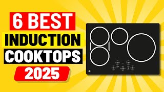 The Best Induction Cooktops of 2025 [upl. by Wobniar568]