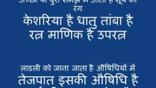 The Sun in Astrology Hindi [upl. by Gide]