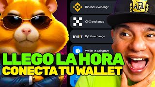 📢HAZ ESTO YA HAMSTER KOMBAT COMO CONECTAR LA WALLET PARA RETIRAR TU AIRDROP DE TELEGRAM [upl. by Seem]