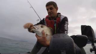 Softbaiting stickbaiting and free diving Doubtless bay NZ by kayak [upl. by Leoine]