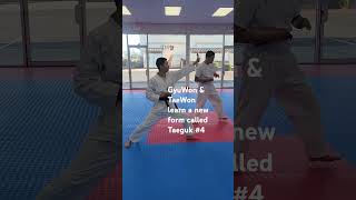 Ability trainingspecialmartialartstaekwondobody corebalance [upl. by Alphonso]