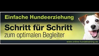 Hundetraining erklärt durch Videos  Hundetricks  Hundeerziehung [upl. by Aihsenod]