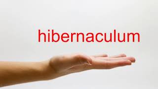 How to Pronounce hibernaculum  American English [upl. by Yur]