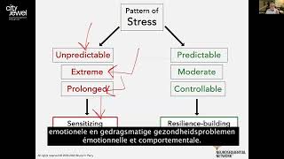 Dr Bruce Perry psychiater over het Stadsjuweel en trauma in de kindertijd [upl. by Nuy]