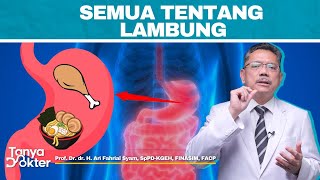 LAMBUNG Dari Fungsi Hingga Penyakit Lambung  Kata Dokter 16 [upl. by Oribel]