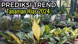 PREDIKSI TREND TANAMAN HIAS 2024 amp SEKALIAN REVIEW HARGANYA versi BARDI FLOWER [upl. by Mihsah]