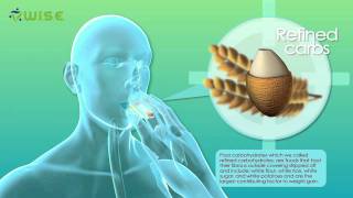 3D medical animation  Why people get fat  Warum Menschen Gewicht zunehmen  designidentity [upl. by Hatcher872]