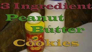 3 Ingredient Peanut Butter Cookies [upl. by Lyrred]