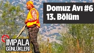 Domuz Avı 6 impala Günlükleri 13 Bölüm Yaban Tv wild boar hunting [upl. by Alleda]