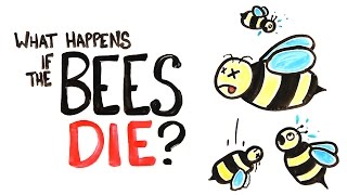 What Happens If All The Bees Die [upl. by Acile]