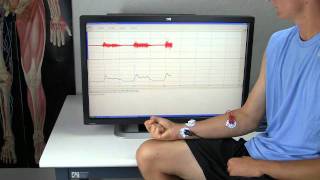 BSL 4 L01 EMG I  Electromyography [upl. by Schrick]