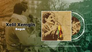 Xelîl Xemgîn  Bagok Official Audio [upl. by Wescott541]