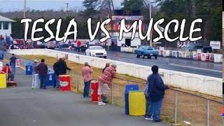 NEW Ludicrous P85D Tesla vs Turbo Truck and Muscle Cars Drag Racing [upl. by Haskel]