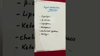 Lipid Metabolism Pathways lipids lipid metabolism metabolic [upl. by Norit751]