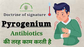 Pyrogenium Doctrine of Signature [upl. by Herrick]