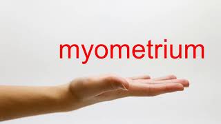 How to Pronounce myometrium  American English [upl. by Lekcar]