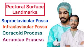 Pectoral Surface Landmarks  Clavicular Fossa  Coracoid Process  Acromion Process [upl. by Irak]