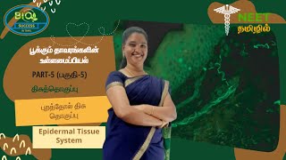 Anatomy of Flowering Plants  Part 5  The Tissue System  Epidermal Tissue System  NEET Tamil [upl. by Etennaej517]