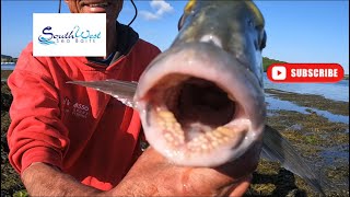 Sea Fishing UK  Gilthead Bream fishing how to  with special guest Martin “Larks” Larking [upl. by Donni]