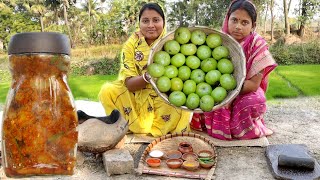 সম্পূর্ণ গ্রাম্য পদ্ধতিতে মুখরোচক আমলকির আচার রেসিপিজিভে জল আসবেই  Amla Ka achar  Gooseberry [upl. by Nesmat]