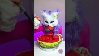 Wie essen Katzen Wassermelonen 🍉 [upl. by Dedric]