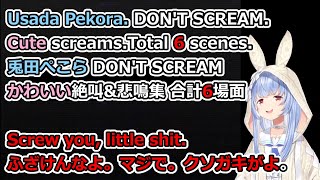 Usada Pekora DONT SCREAM Cute screamsTotal 6 scenes兎田ぺこら DONT SCREAM かわいい絶叫amp悲鳴集 合計6場面 [upl. by Acimehs]