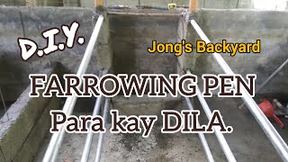 DIY Farrowing Pen  Backyard Farming [upl. by Ilke]