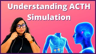 ACTH Stimulation Test Explained  Procedure Results and Risks Explained [upl. by Nylidnam351]