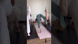 Down dog to pidgeon pose yoga yogagirl youtubeshorts shortsfeed [upl. by Oidgime823]