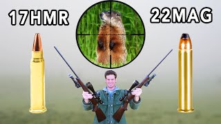 17HMR vs 22MAG Hunting [upl. by Aneel]