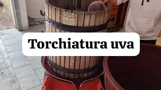 COME FARE IL VINO ROSSO IN CASA EP 3 SVINATURA E TORCHIATURA UVA [upl. by Shig]