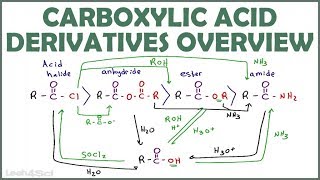 Carboxylic Acid Derivatives Overview and Reaction Map [upl. by Annala]