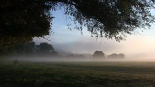 Mystische Morgenstimmung 2 Mystical Morning Mood 2 [upl. by Ahearn]