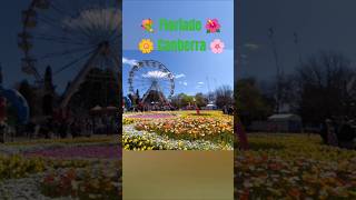 đź’ Floriade Canberra đźŚąđźŚ¸đźŚ»đź’đźŚ¸ [upl. by Lleon237]