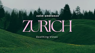 Relaxing Zurich  Stunning Swiss City Views amp Peaceful Nature Sounds [upl. by Atinahc]