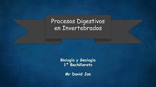 Procesos Digestivos en Invertebrados I [upl. by Idna66]