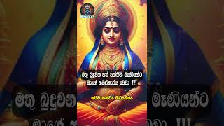 පත්තිනි අම්මා මගේ පැතුම ඉටු කරනවාමයි  paththini maniyo songpaththini maniyo songspaththini Goddes [upl. by Burkle]