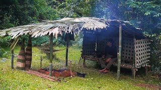 30 Days solo survival CAMPING Primitive Fishing Catch and Cook Bushcraft Survival Shelter [upl. by Ahsenat661]