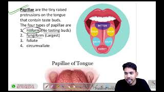 Human tongue and papillae  taste buds oftongue  Biology [upl. by Deron]