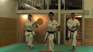 Nipaipo  kata amp bunkai  doc de travail [upl. by Yregerg]