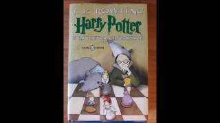 Harry potter e la Pietra Filosofale Capitolo 1 Il Bambino Sopravvisuto Audiolibro ITA [upl. by Ahsekel]