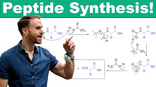 Mastering Peptide Synthesis Coupling Reagents Protecting Groups and SolidPhase Peptide Synthesis [upl. by Sokil]