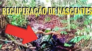 NASCENTE DE ÁGUA  DICAS DE RECUPERAÇÃO  IDENTIFICAÇÃO DE NASCENTE [upl. by Giusto]